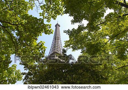 Stock Image - "Eiffel Tower, seen through trees, Paris, France, Europe". Fotosearch