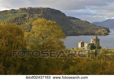 "Eilean Donan Castle with autumnal forest, headquarters of the Scottish clan of Macrae, Loch Duich, Dornie, North West Highlands, Scotland, United Kingdom, Europe" View Large Photo Image Stock Image - "Eilean Donan Castle with autumnal forest, headquarters of the Scottish clan of Macrae, Loch Duich, Dornie, North West Highlands, Scotland, United Kingdom, Europe". Fotosearch