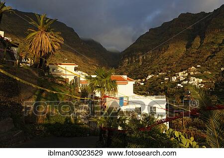 "El Retamal in the evening light, El Retamal, Valle Gran Rey, La Gomera, Canary Islands, Spain, Europe" View Large Photo Image Stock Photo - "El Retamal in the evening light, El Retamal, Valle Gran Rey, La Gomera, Canary Islands, Spain, Europe". Fotosearch