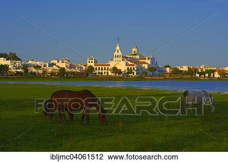 "El Rocio village and Ermita del Rocio hermitage in morning light, El Rocio, Almonte, Marismas de Donana, Huelva province, Andalusia, Spain, Europe" View Large Photo Image Stock Image - "El Rocio village and Ermita del Rocio hermitage in morning light, El Rocio, Almonte, Marismas de Donana, Huelva province, Andalusia, Spain, Europe". Fotosearch
