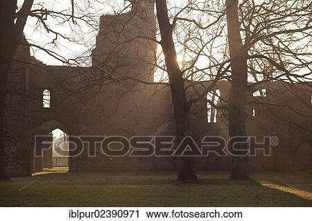 "Eldena monastery ruins in the morning light, Wieck, Greifswald, Mecklenburg-Western Pomerania, Germany, Europe" View Large Photo Image Stock Image - "Eldena monastery ruins in the morning light, Wieck, Greifswald, Mecklenburg-Western Pomerania, Germany, Europe". Fotosearch