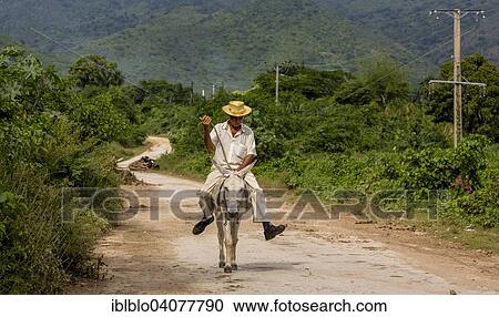 "Elderly Cuban farmer on muleback, Valle de los Ingenios, Trinidad, Sancti Spiritus Province, Cuba, North America" View Large Photo Image Stock Image - "Elderly Cuban farmer on muleback, Valle de los Ingenios, Trinidad, Sancti Spiritus Province, Cuba, North America". Fotosearch