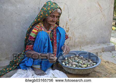 Stock Photograph - "Elderly Indian woman in a traditional sari is sitting at a house wall sorting small melons in a bowl, Rann of Kutch, Gujarat, India, Asia". Fotosearch