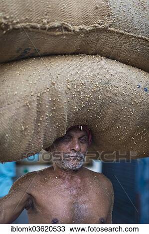 Stock Image - "Elderly man carrying two bags filled with spices on his head, Jew Town, Mattancherry, Kochi, Kerala, India, Asia". Fotosearch