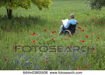 "Elderly man reading in a wheelchair on a flower meadow, Lower Saxony, Germany, Europe" View Large Photo Image Stock Photograph - "Elderly man reading in a wheelchair on a flower meadow, Lower Saxony, Germany, Europe". Fotosearch