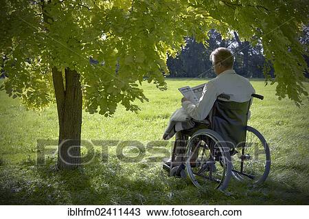 "Elderly man sitting and reading a book in a wheelchair under a deciduous tree, Hagen, Lower Saxony, Germany, Europe" View Large Photo Image Stock Image - "Elderly man sitting and reading a book in a wheelchair under a deciduous tree, Hagen, Lower Saxony, Germany, Europe". Fotosearch