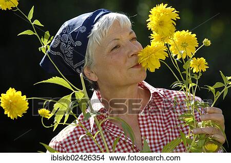 Picture - "Elderly woman, gray-haired, 55-65, smelling flowers in a garden". Fotosearch