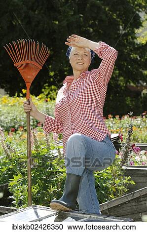 Stock Image - "Elderly woman, gray-haired, 55-65, wearing gardening clothes while working with the cold frame of a raised bed in a garden". Fotosearch