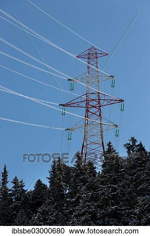 "Electricity pylon, high-voltage pylon, power pole, with a coniferous forest" View Large Photo Image Stock Image - "Electricity pylon, high-voltage pylon, power pole, with a coniferous forest". Fotosearch
