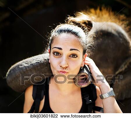 Stock Image - "Elephant playing with tourist at an elephant camp, Chiang Mai, Chiang Mai Province, Thailand, Asia". Fotosearch