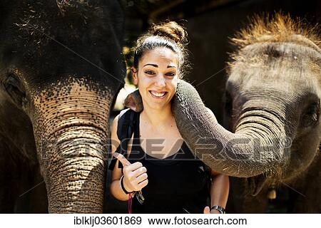 "Elephant playing with tourist at an elephant camp, Chiang Mai, Chiang Mai Province, Thailand, Asia" View Large Photo Image Stock Photo - "Elephant playing with tourist at an elephant camp, Chiang Mai, Chiang Mai Province, Thailand, Asia". Fotosearch