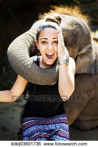 "Elephant playing with tourist at an elephant camp, Chiang Mai, Chiang Mai Province, Thailand, Asia" View Large Photo Image Stock Photograph - "Elephant playing with tourist at an elephant camp, Chiang Mai, Chiang Mai Province, Thailand, Asia". Fotosearch