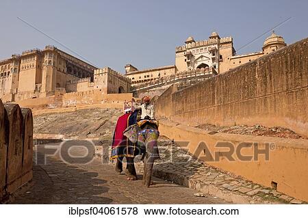 Stock Photo - "Elephant riding for tourists in front of the Amber Fort, Jaipur, Rajasthan, India, Asia". Fotosearch