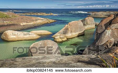 "Elephant Rocks, William Bay National Park, Western Australia, Australia, Oceania" View Large Photo Image Stock Photography - "Elephant Rocks, William Bay National Park, Western Australia, Australia, Oceania". Fotosearch
