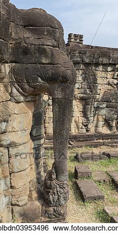 "Elephant trunk at the Terrace of the Elephants, Angkor Thom, Siem Reap, Cambodia, Asia" View Large Photo Image Stock Photograph - "Elephant trunk at the Terrace of the Elephants, Angkor Thom, Siem Reap, Cambodia, Asia". Fotosearch