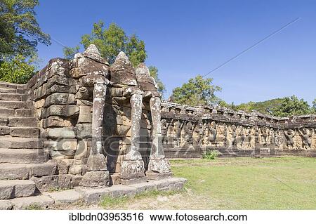 "Elephant trunks at the central stairwell of the Terrace of the Elephants, Angkor Thom, Siem Reap, Cambodia, Asia" View Large Photo Image Stock Photograph - "Elephant trunks at the central stairwell of the Terrace of the Elephants, Angkor Thom, Siem Reap, Cambodia, Asia". Fotosearch