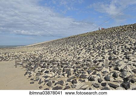"Embankment with rocks, Wangerooge, East Frisian Islands, East Frisia, Lower Saxony, Germany, Europe" View Large Photo Image Stock Image - "Embankment with rocks, Wangerooge, East Frisian Islands, East Frisia, Lower Saxony, Germany, Europe". Fotosearch