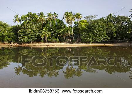 "Empty beach of Mamah Beach, Western Area, Sierra Leone, Africa" View Large Photo Image Stock Image - "Empty beach of Mamah Beach, Western Area, Sierra Leone, Africa". Fotosearch