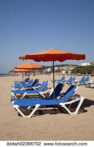 "Empty deck chairs with parasols at the beach, Calella de la Costa, Costa del Maresme, Catalonia, Spain, Europe, PublicGround, Europe" View Large Photo Image Stock Image - "Empty deck chairs with parasols at the beach, Calella de la Costa, Costa del Maresme, Catalonia, Spain, Europe, PublicGround, Europe". Fotosearch