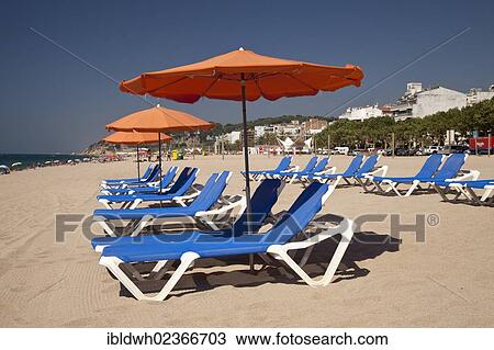 Stock Image - "Empty deck chairs with parasols at the beach, Calella de la Costa, Costa del Maresme, Catalonia, Spain, Europe, PublicGround, Europe". Fotosearch