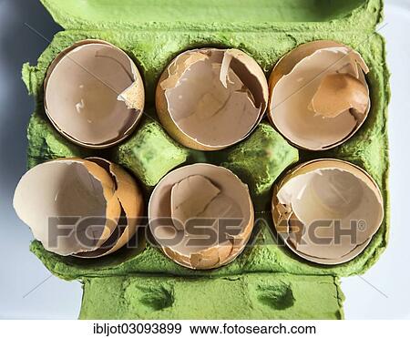 Stock Photo - Empty eggshells in an egg carton. Fotosearch