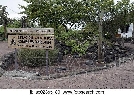 Stock Photo - "Entrance area of Darwin Station, Santa Cruz Island, Galapagos Islands, Ecuador, South America". Fotosearch