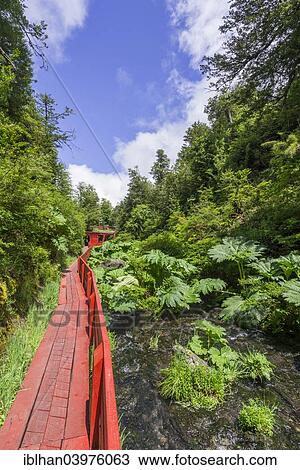 "Entrance area of? Çï? Çïthe Termas Geometricas, Panguipulli, Region de Los Rios, Chile, South America" View Large Photo Image Stock Image - "Entrance area of? Çï? Çïthe Termas Geometricas, Panguipulli, Region de Los Rios, Chile, South America". Fotosearch