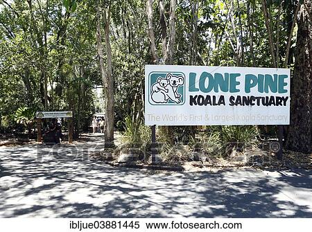 "Entrance sign """"Lone Pine Koala Sanctuary"""", Fig Tree Pocket, Brisbane, Queensland, Australia, Oceania" View Large Photo Image Stock Photography - "Entrance sign """"Lone Pine Koala Sanctuary"""", Fig Tree Pocket, Brisbane, Queensland, Australia, Oceania". Fotosearch