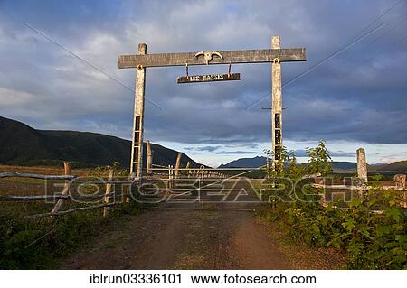 "Entrance to a cattle farm, Grande Terre, New Caledonia, France, Oceania" View Large Photo Image Stock Image - "Entrance to a cattle farm, Grande Terre, New Caledonia, France, Oceania". Fotosearch
