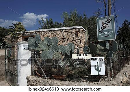 Stock Image - "Entrance to a finca, Cactus Lombribiza, Cala Vedella, Ibiza, Pine Islands, Balearic Islands, Spain, Europe". Fotosearch