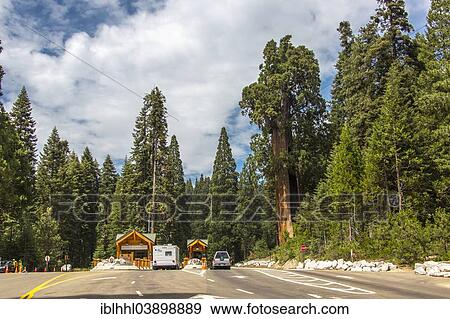 "Entrance to Kings Canyon, Hume, California, United States, North America" View Large Photo Image Stock Photo - "Entrance to Kings Canyon, Hume, California, United States, North America". Fotosearch