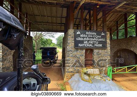 "Entrance to Wilpattu National Park, North Western Province, Sri Lanka, Asia" View Large Photo Image Stock Photo - "Entrance to Wilpattu National Park, North Western Province, Sri Lanka, Asia". Fotosearch