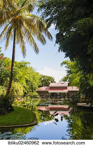 "Entrance with a lily pond, Botanical Garden of Deshaies, Guadeloupe, Lesser Antilles, Caribbean, North America" View Large Photo Image Stock Image - "Entrance with a lily pond, Botanical Garden of Deshaies, Guadeloupe, Lesser Antilles, Caribbean, North America". Fotosearch