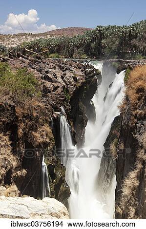 "Epupa Falls, waterfall, formed by the Kunene River directly on the border with Angola, about 40 m, Epupa, Kaokoland, Kunene, Namibia, Africa" View Large Photo Image Picture - "Epupa Falls, waterfall, formed by the Kunene River directly on the border with Angola, about 40 m, Epupa, Kaokoland, Kunene, Namibia, Africa". Fotosearch