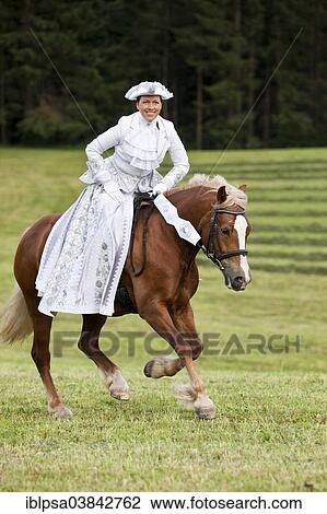 Stock Image - "Equestrienne wearing a Venetian costume riding a Welsh Cob, sorrel, galloping, Northern Tyrol, Austria, Europe". Fotosearch