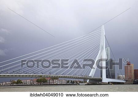 "Erasmus Bridge, Erasmusbrug, across on the Nieuwe Maas river, Rotterdam, Holland, The Netherlands, Europe" View Large Photo Image Stock Image - "Erasmus Bridge, Erasmusbrug, across on the Nieuwe Maas river, Rotterdam, Holland, The Netherlands, Europe". Fotosearch