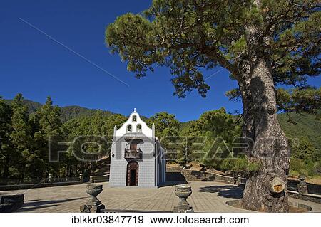 "Eremita Virgel del Pino pilgrimage church, La Palma, Canary Islands, Spain, Europe" View Large Photo Image Stock Photo - "Eremita Virgel del Pino pilgrimage church, La Palma, Canary Islands, Spain, Europe". Fotosearch