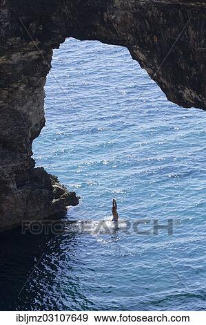 "Es Pontas rock arch, Santanyi, Mallorca, Majorca, Balearic Islands, Spain, Europe" View Large Photo Image Stock Photo - "Es Pontas rock arch, Santanyi, Mallorca, Majorca, Balearic Islands, Spain, Europe". Fotosearch
