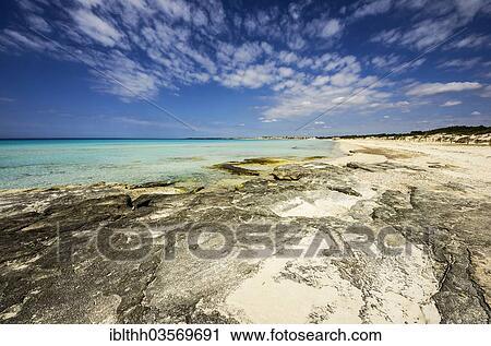 "Es Trenc beach, near Rapita, Majorca, Balearic Islands, Spain, Europe" View Large Photo Image Stock Image - "Es Trenc beach, near Rapita, Majorca, Balearic Islands, Spain, Europe". Fotosearch