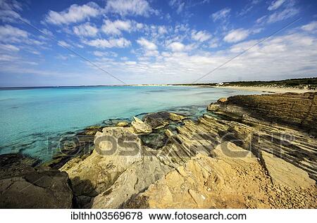 "Es Trenc beach, near Rapita, Majorca, Balearic Islands, Spain, Europe" View Large Photo Image Stock Photo - "Es Trenc beach, near Rapita, Majorca, Balearic Islands, Spain, Europe". Fotosearch
