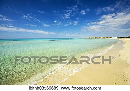 "Es Trenc beach, near Rapita, Majorca, Balearic Islands, Spain, Europe" View Large Photo Image Stock Photo - "Es Trenc beach, near Rapita, Majorca, Balearic Islands, Spain, Europe". Fotosearch