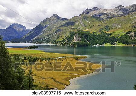 Stock Photography - "Estuary of the river Aua da Fedoz into the Lake Sils, Engadin, Canton of Graubunden, Switzerland, Europe". Fotosearch