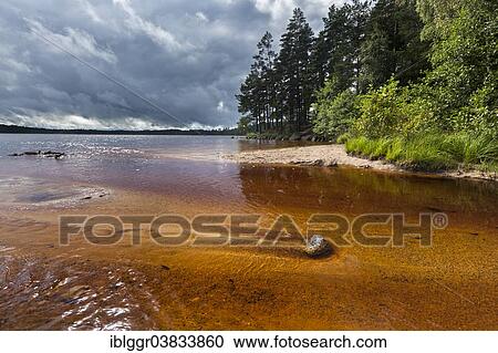 "Estuary on the beach of Vitsand, Stora Trehorningen Lake, Tivedens National Park, Vastra Gotaland, Sweden, Europe" View Large Photo Image Stock Image - "Estuary on the beach of Vitsand, Stora Trehorningen Lake, Tivedens National Park, Vastra Gotaland, Sweden, Europe". Fotosearch