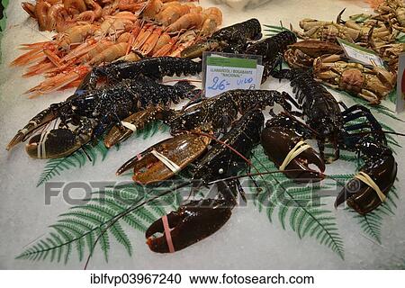 "European lobsters at a fish stall in the market hall, Mercat de la Boqueria, also Mercat de Sant Josep, Barcelona,? Çï? ÇïCatalonia, Spain, Europe" View Large Photo Image Stock Image - "European lobsters at a fish stall in the market hall, Mercat de la Boqueria, also Mercat de Sant Josep, Barcelona,? Çï? ÇïCatalonia, Spain, Europe". Fotosearch