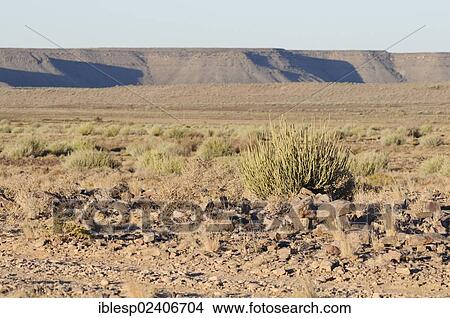 "Evening at the Fish River Canyon, Namibia, Africa" View Large Photo Image Picture - "Evening at the Fish River Canyon, Namibia, Africa". Fotosearch