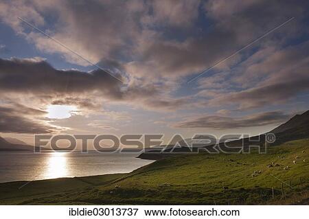 "Evening Light on Eyjafjorour fjord, Ebersbergyjafjordur, North Iceland, Iceland, Europe" View Large Photo Image Stock Photo - "Evening Light on Eyjafjorour fjord, Ebersbergyjafjordur, North Iceland, Iceland, Europe". Fotosearch