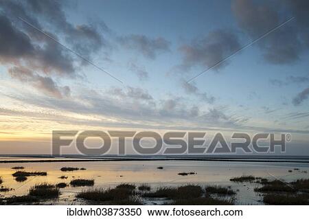 "Evening mood in the Wadden Sea National Park, Norddeich, Norden, East Frisia, Lower Saxony, Germany, Europe" View Large Photo Image Stock Image - "Evening mood in the Wadden Sea National Park, Norddeich, Norden, East Frisia, Lower Saxony, Germany, Europe". Fotosearch