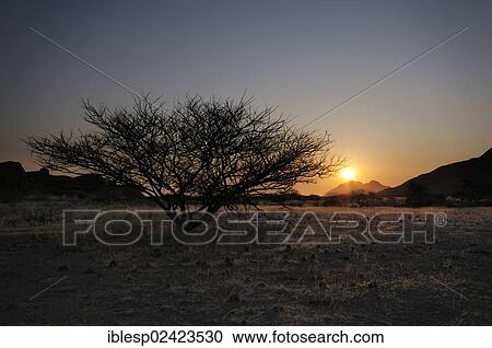 Evening mood, savannah landscape, Great Spitzkoppe and Pontok Mountains, Great Spitzkoppe Nature Reserve, Namibia, Africa View Large Photo Image Stock Image - Evening mood, savannah landscape, Great Spitzkoppe and Pontok Mountains, Great Spitzkoppe Nature Reserve, Namibia, Africa. Fotosearch
