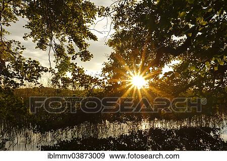 Stock Photo - "Evening mood, Schwarzer See lake, Mecklenburgische Seenplatte, Mecklenburg-Western Pomerania, Germany, Europe". Fotosearch