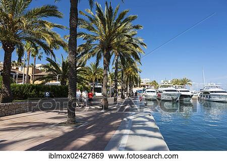 "Exclusive marina of Puerto Portals, Puertolas Nous, Majorca, Balearic Islands, Spain, Europe" View Large Photo Image Stock Photo - "Exclusive marina of Puerto Portals, Puertolas Nous, Majorca, Balearic Islands, Spain, Europe". Fotosearch
